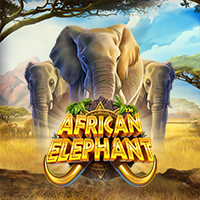 African Elephant สล็อต