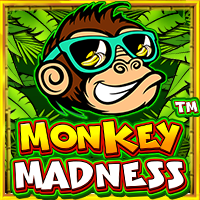 Monkey Madness สล็อต